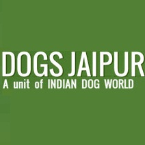 Second Home for your best friend “Dog” with Dog Hostel In Jaipur